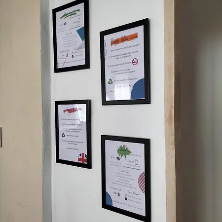 New House Apartamento *