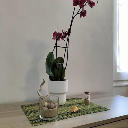 New House Apartment La Spezia