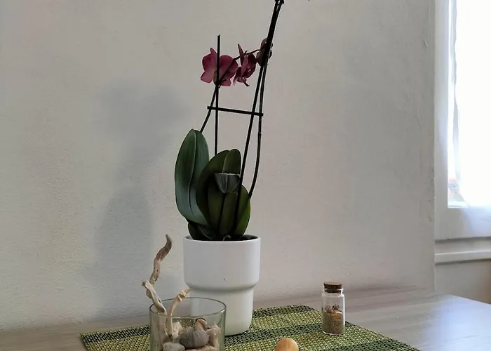 New House Apartment La Spezia